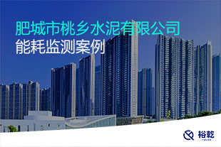 肥城市桃鄉水泥有限公司能耗監測案例